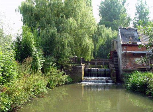 Hernemolen mark herne